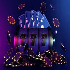 bet88 com